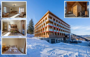 Гостиница Didveli Valley Bakuriani  Бакуриани